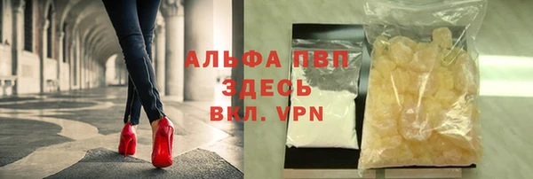 гидра Алексин