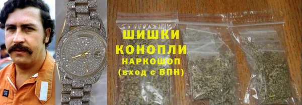 гидра Алексин